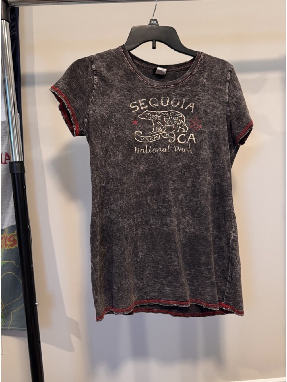 Y2K Sequoia National Park Washed T-Shirt Women's Large